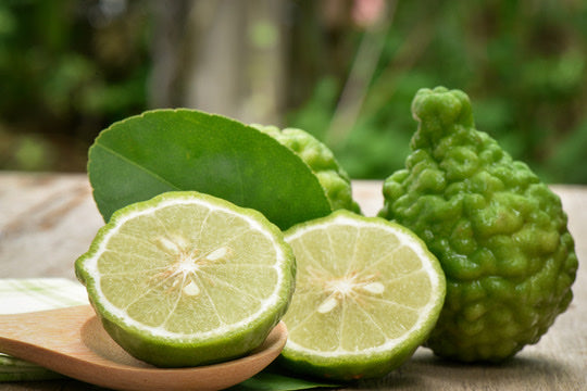 BERGAMOT x LAVENDER